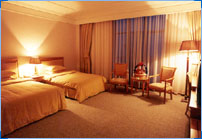 ������ʯ���ʻ������� 