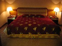 �������ô�Ƶ� 