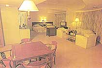 ���������Ƶ� ��������